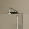 Kineduo swan neck overhead shower