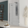 Kinestyle pivot door with hinges on the left
