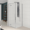 Kinestyle pivot door and fixed side panel with hinges on the left