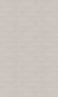 Beige Coating